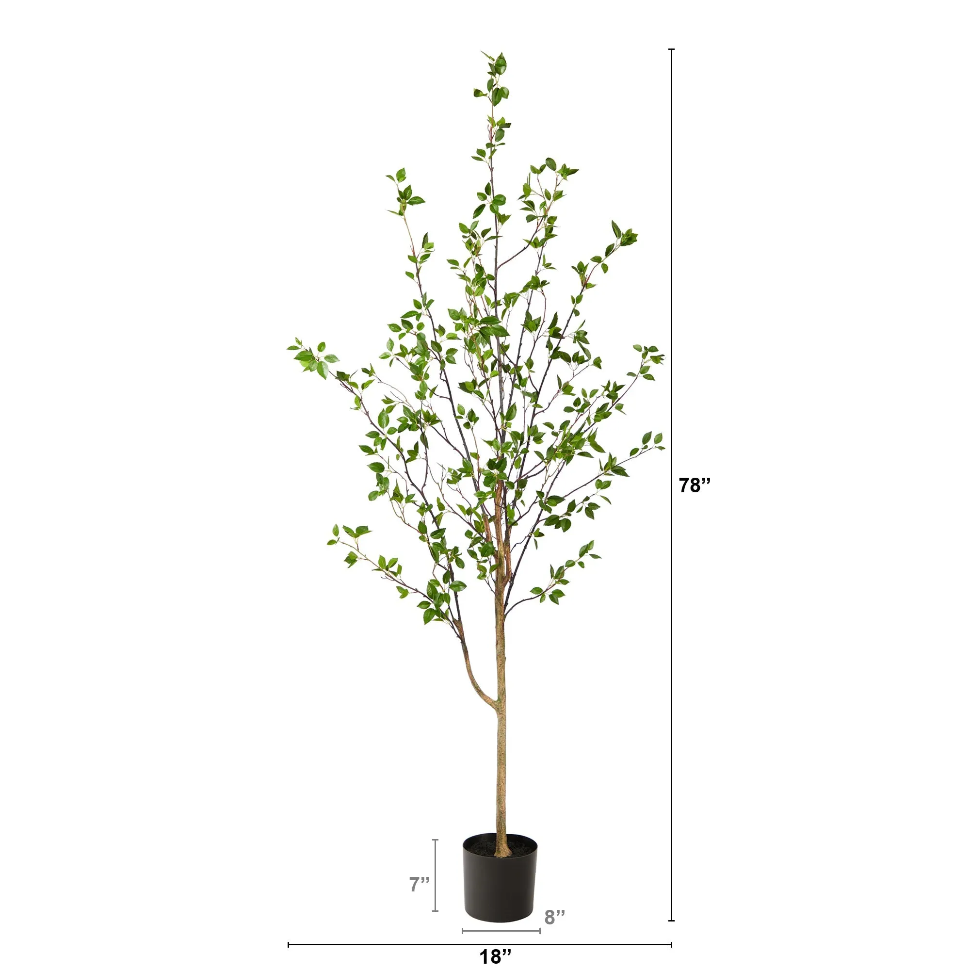 6.5' Minimalist Citrus Tree