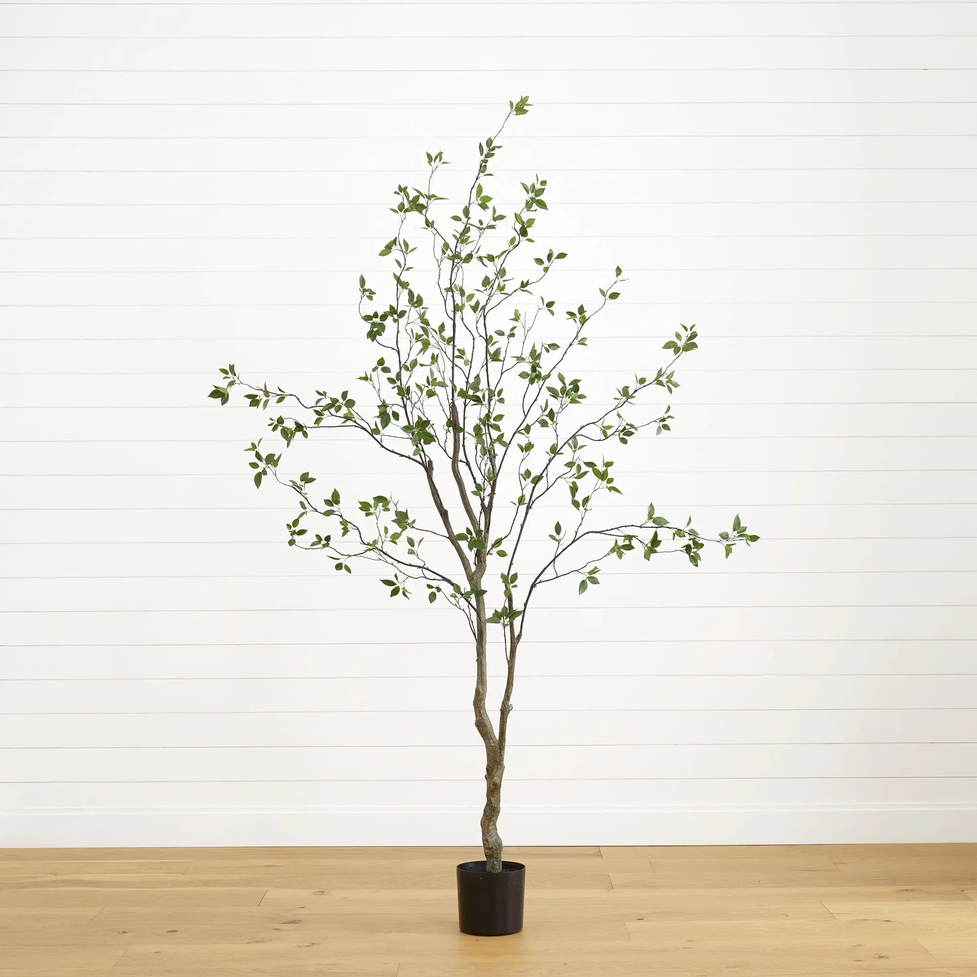 8' Minimalist Citrus Artificial Tree