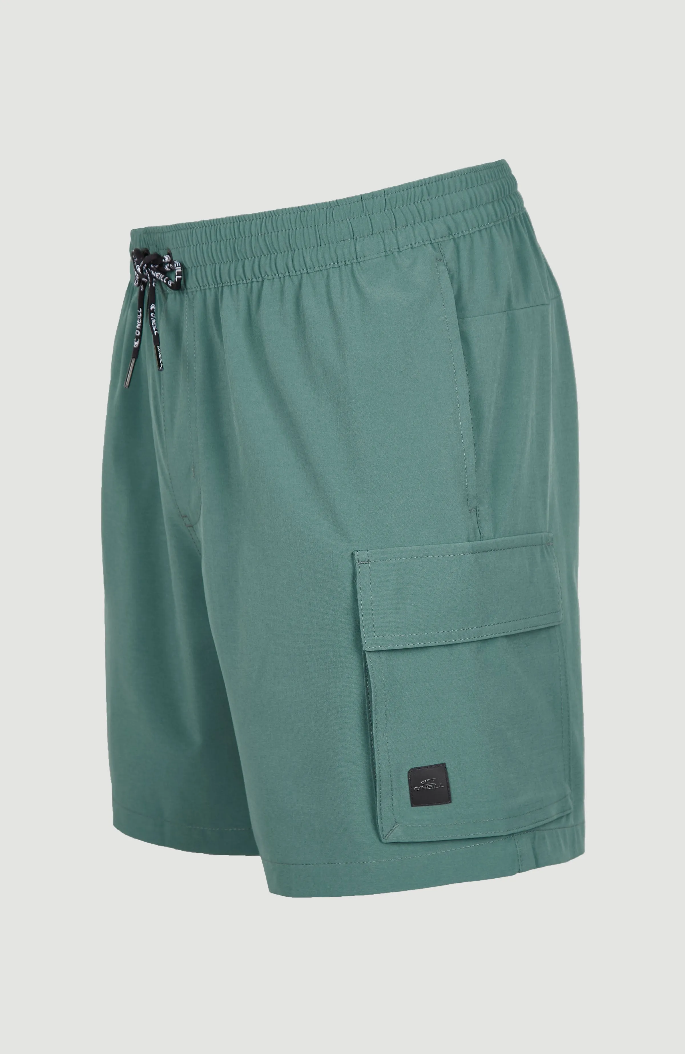 All Day 17'' Hybrid Shorts | North Atlantic