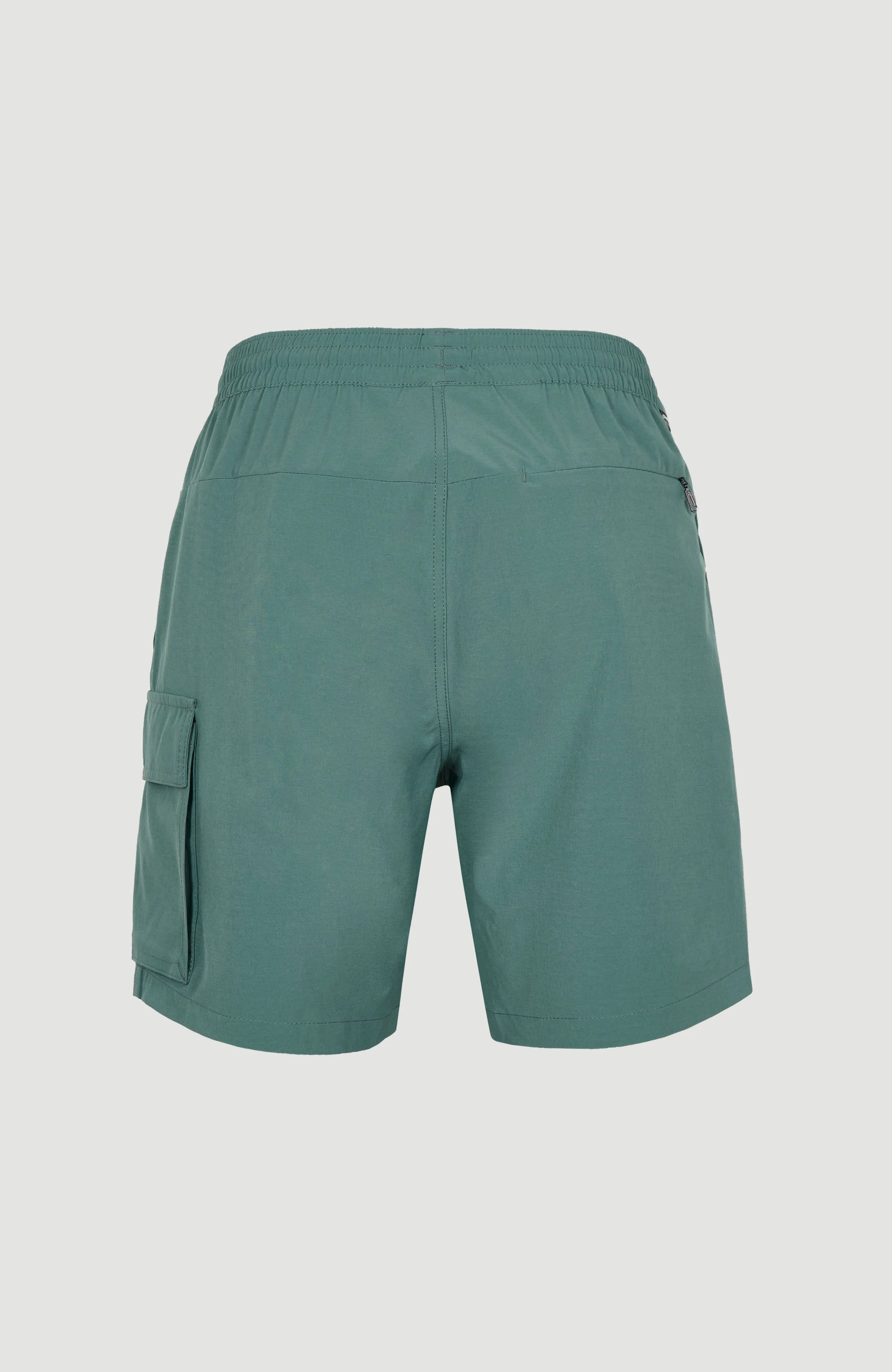 All Day 17'' Hybrid Shorts | North Atlantic