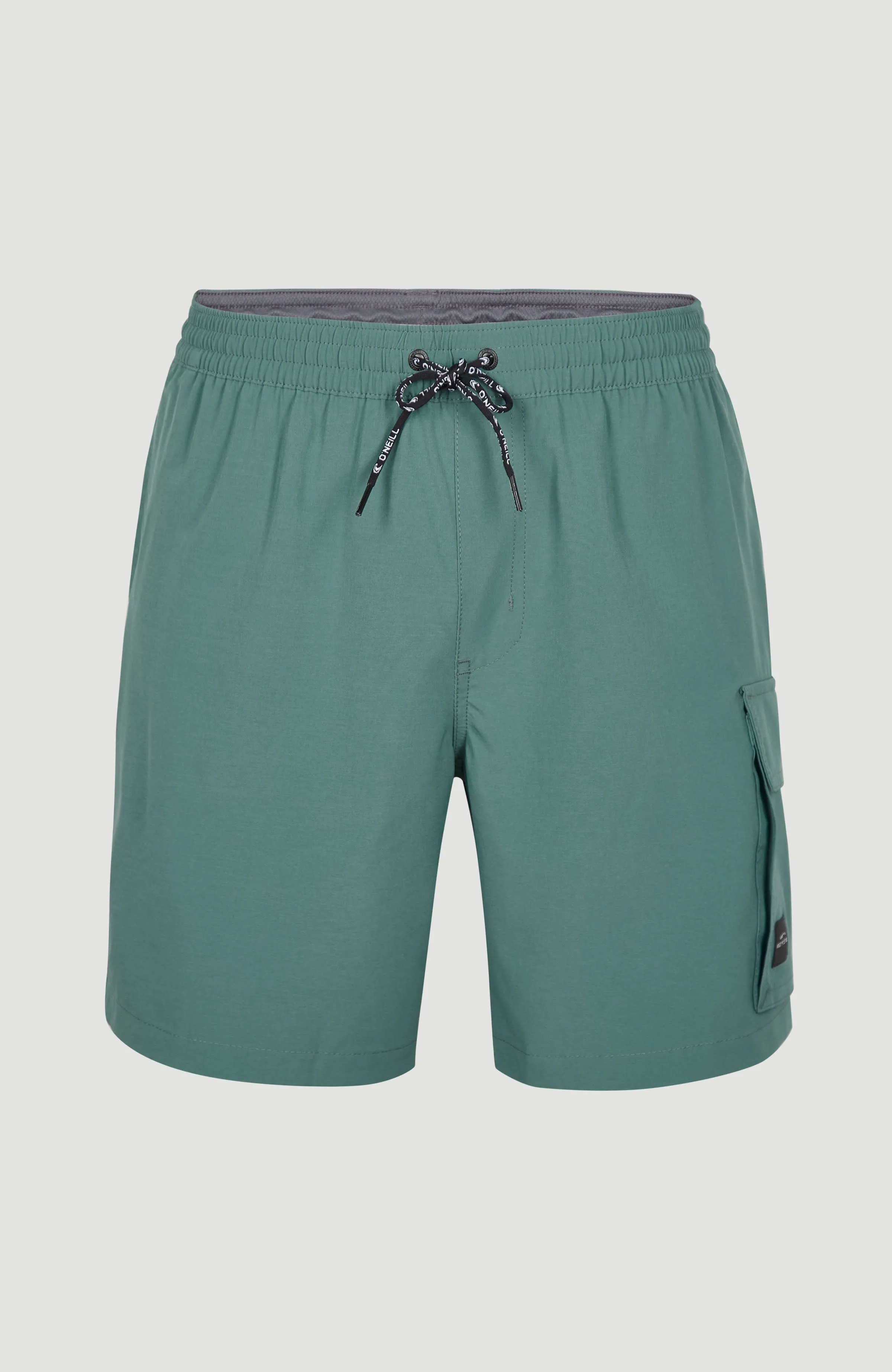 All Day 17'' Hybrid Shorts | North Atlantic