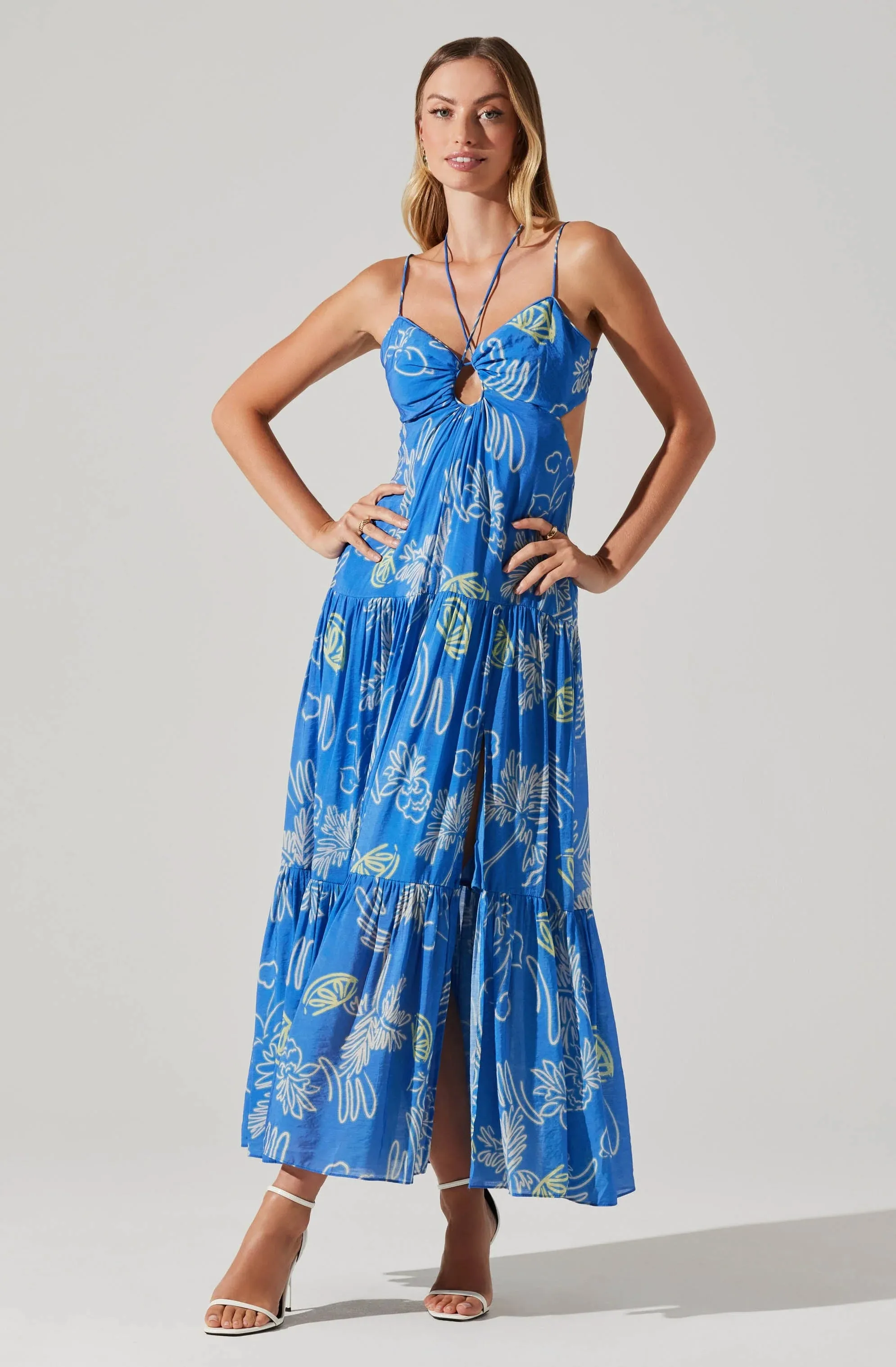 Cassini Maxi Dress Blue Multi