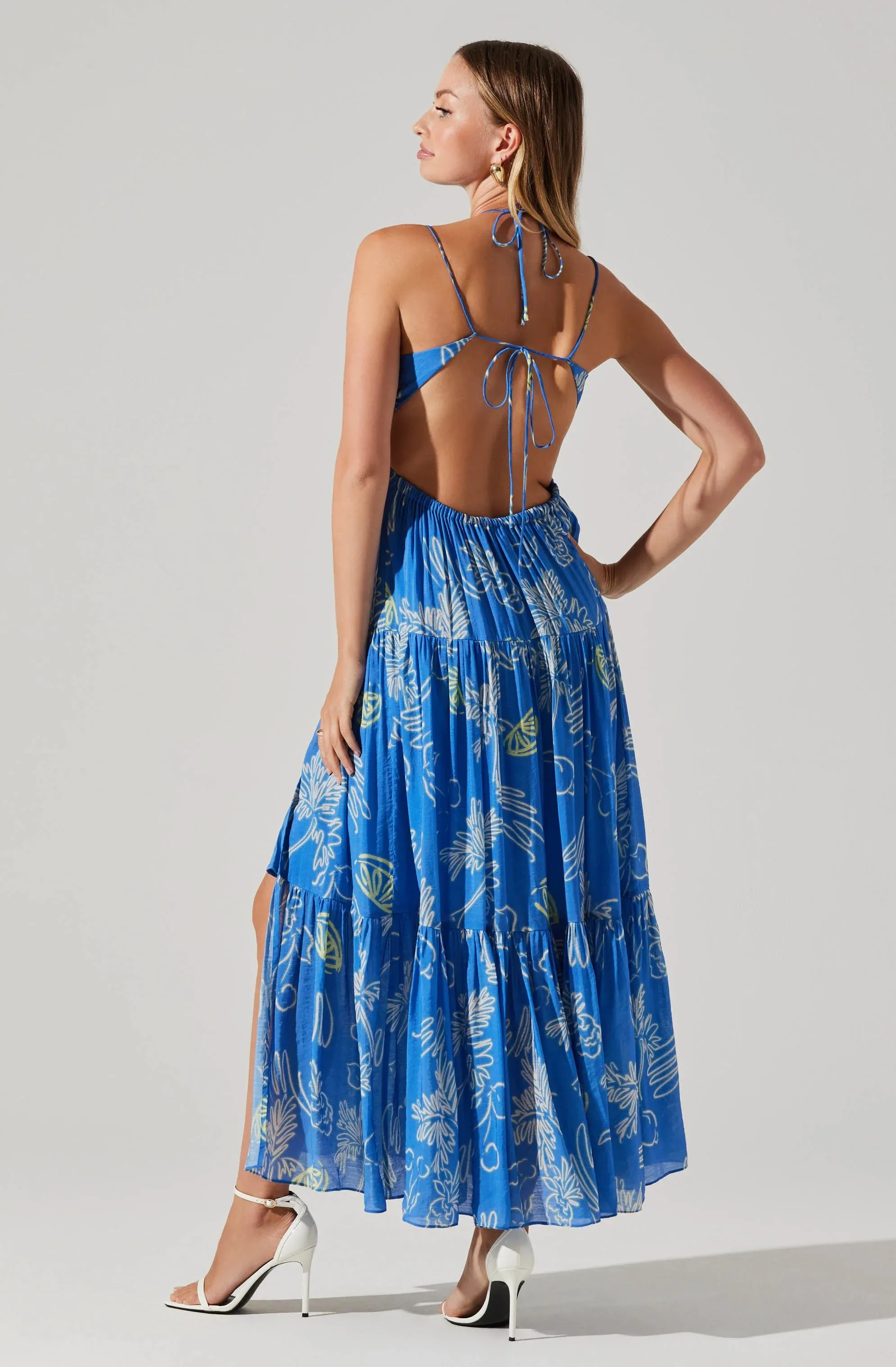 Cassini Maxi Dress Blue Multi