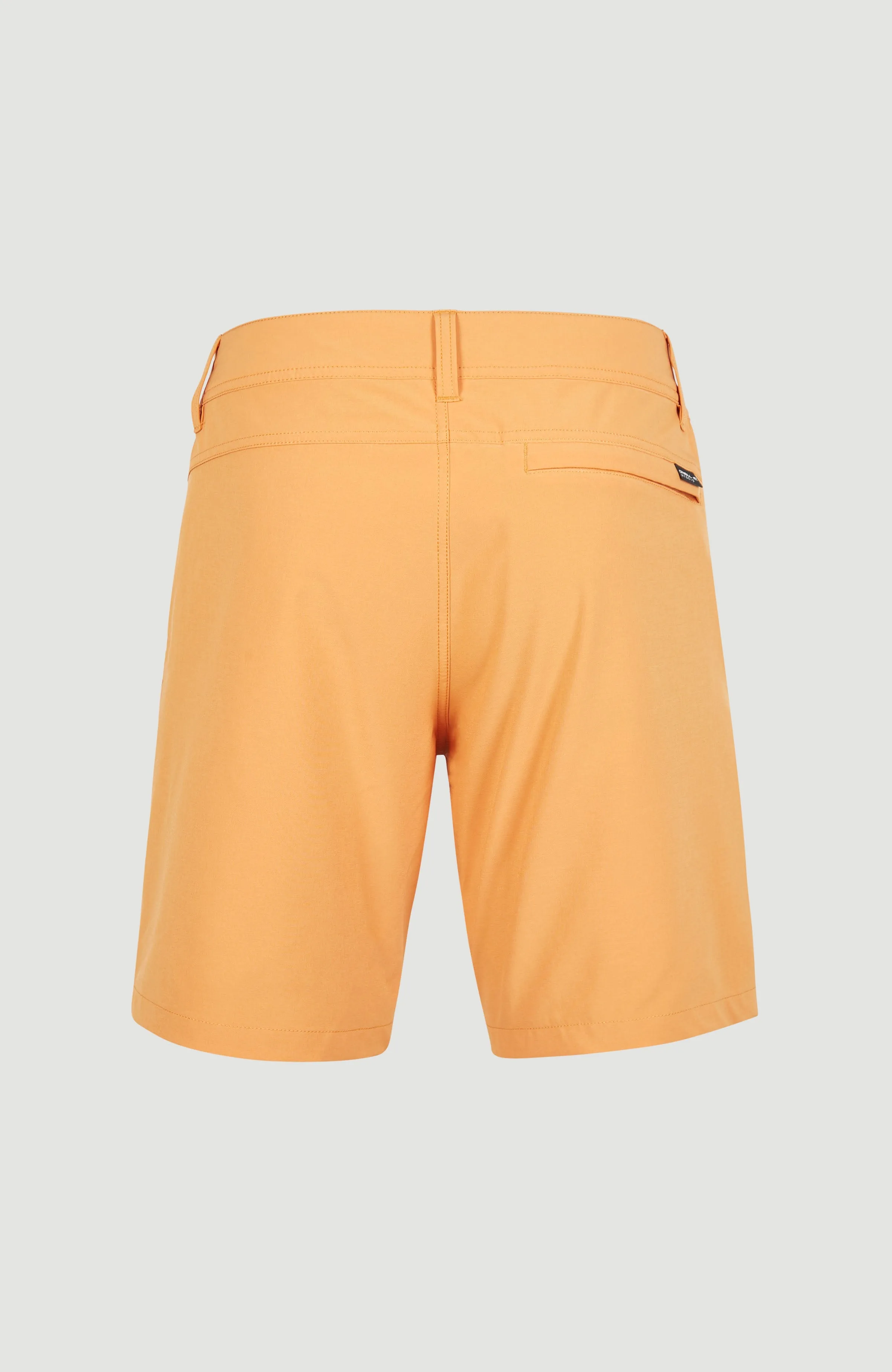 Easton Cargo 17'' Hybrid Shorts | Nugget