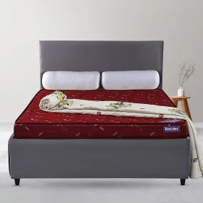 Restolex Resto Bond-Comfy Foam Mattress-Maroon-78 X 36 X 5